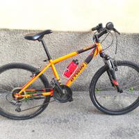 bici mtb 24