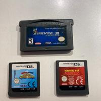 Giochi per Nintendo DS e GameBoy