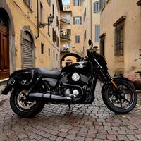 Harley Street 750 - 2019
