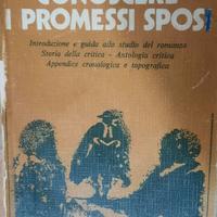 Libro conoscere i promessi sposi.