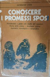 Libro conoscere i promessi sposi.