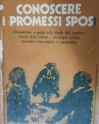 Libro conoscere i promessi sposi.
