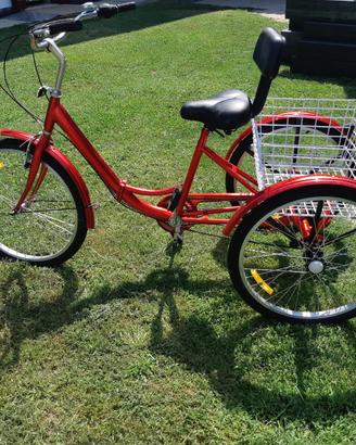 Bicicletta 3 ruote