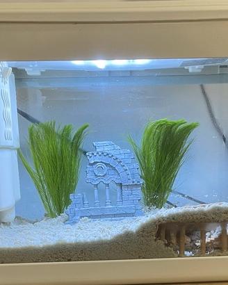 Acquario 30 lt