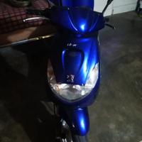 motorina