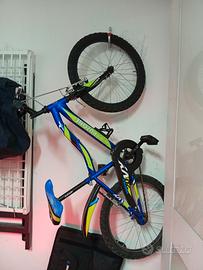 Bicicletta ragazzo
