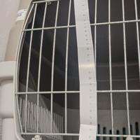 trasportino per cane