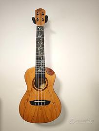 Ortega Concerto RUET-SMA Top Acero Massello + bag