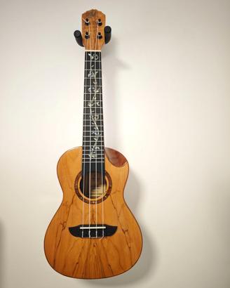 Ortega Concerto RUET-SMA Top Acero Massello + bag