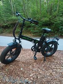 Biciccletta Elettrica