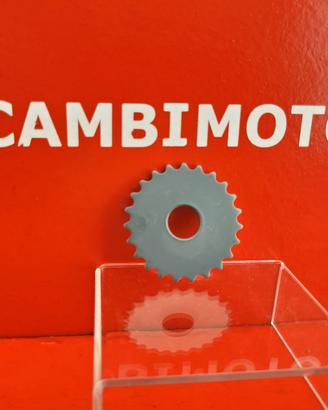 PIGNONE X CATENA BMW R1200GS ADV