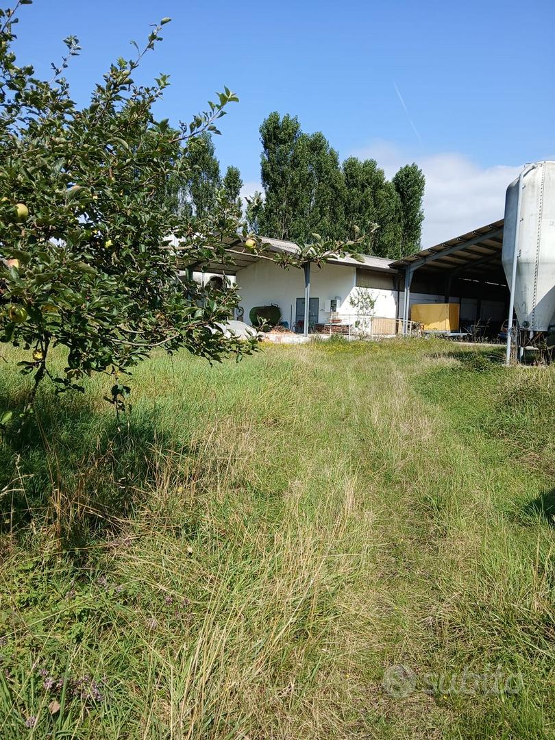 Terreno + capannoni+ annesso rustico ristrutturato - Vista 3
