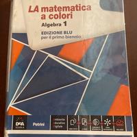 Libro di matematica