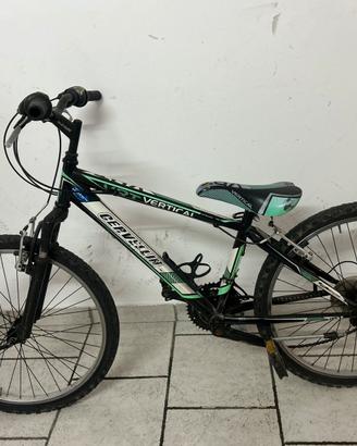 Bicicletta MTB