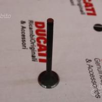 Valvole di Scarico D 29 per Ducati 748Sp/Sps