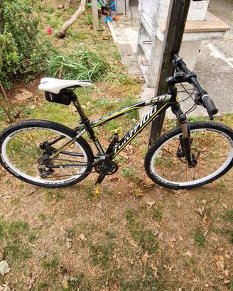 bicicletta mtb torpado 