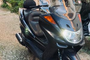 Yamaha Majesty 250 ABS FMI