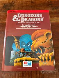 D&D “Lo Spettro del Castello del Leone”