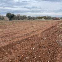Terreno seminativo C.da Paglione - agro di Oria