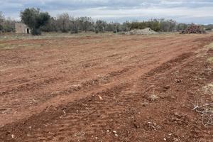 Terreno seminativo C.da Paglione - agro di Oria