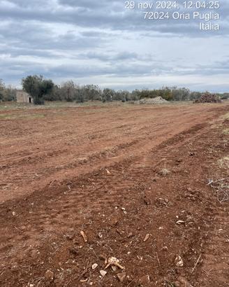 Terreno seminativo C.da Paglione - agro di Oria