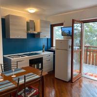 Monolocale genzianella Sauze Oulx 150 mt piste