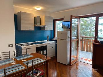 Monolocale genzianella Sauze Oulx 150 mt piste