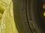 Immagine 3