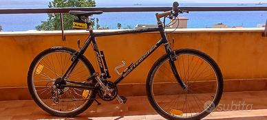 BOTTECCHIA OASIS II
