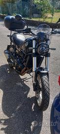 benelli leoncino 500