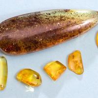 Ambra baltica levigata con inclusioni XI lotto