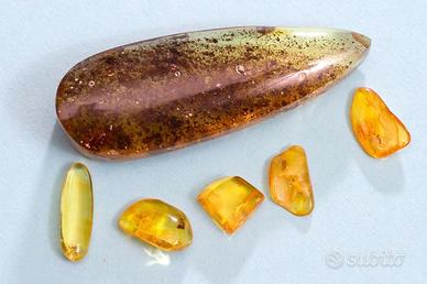 Ambra baltica levigata con inclusioni XI lotto