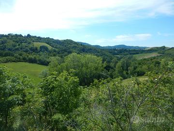 Podere angolo di Paradiso a Livergnano