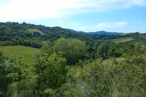 Podere angolo di Paradiso a Livergnano