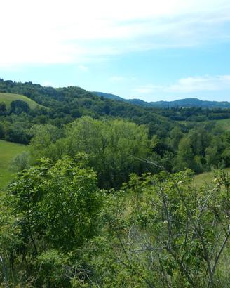 Podere angolo di Paradiso a Livergnano
