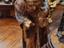 Immagine 3