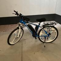 bici elettrica