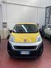 fiat-fiorino-no