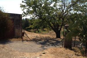 RGE 5/2009 Trib Enna ( EX NICOSIA ) - LOTTO 3