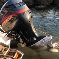 Evinrude 75 v4