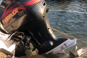 Evinrude 75 v4
