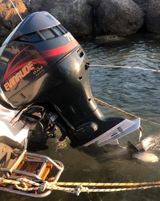 Evinrude 75 v4