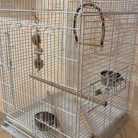 Gabbia per pappagalli/volatili