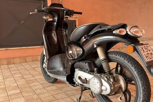 Scarabeo 50