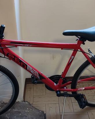 bici Mountain bike 