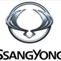 SSangyong REXTON Y250 fari posteriori