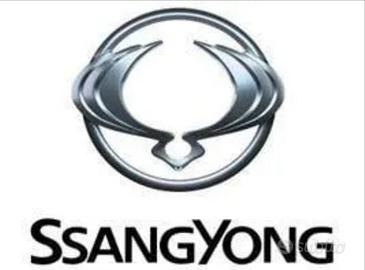 SSangyong REXTON Y250 fari posteriori