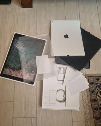 Ipad pro 12.9 wifi e cellular