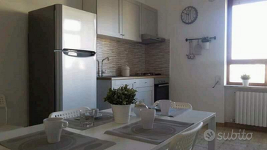 Appartamento per 4 studentesse 300,00 a stanza
