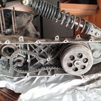 carter Minarelli verticale